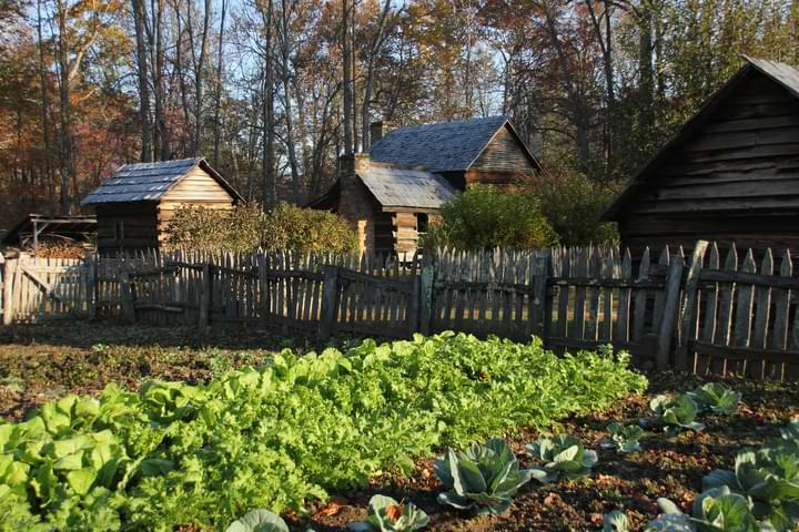 Thing To Do Historical Spots & Museums